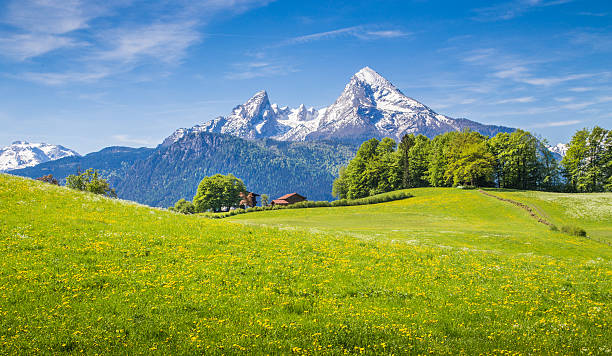 France & Switzerland travel package